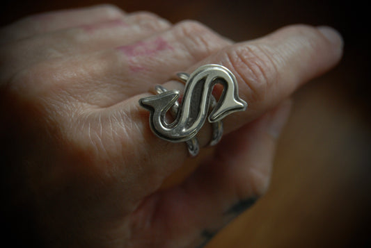S Ring