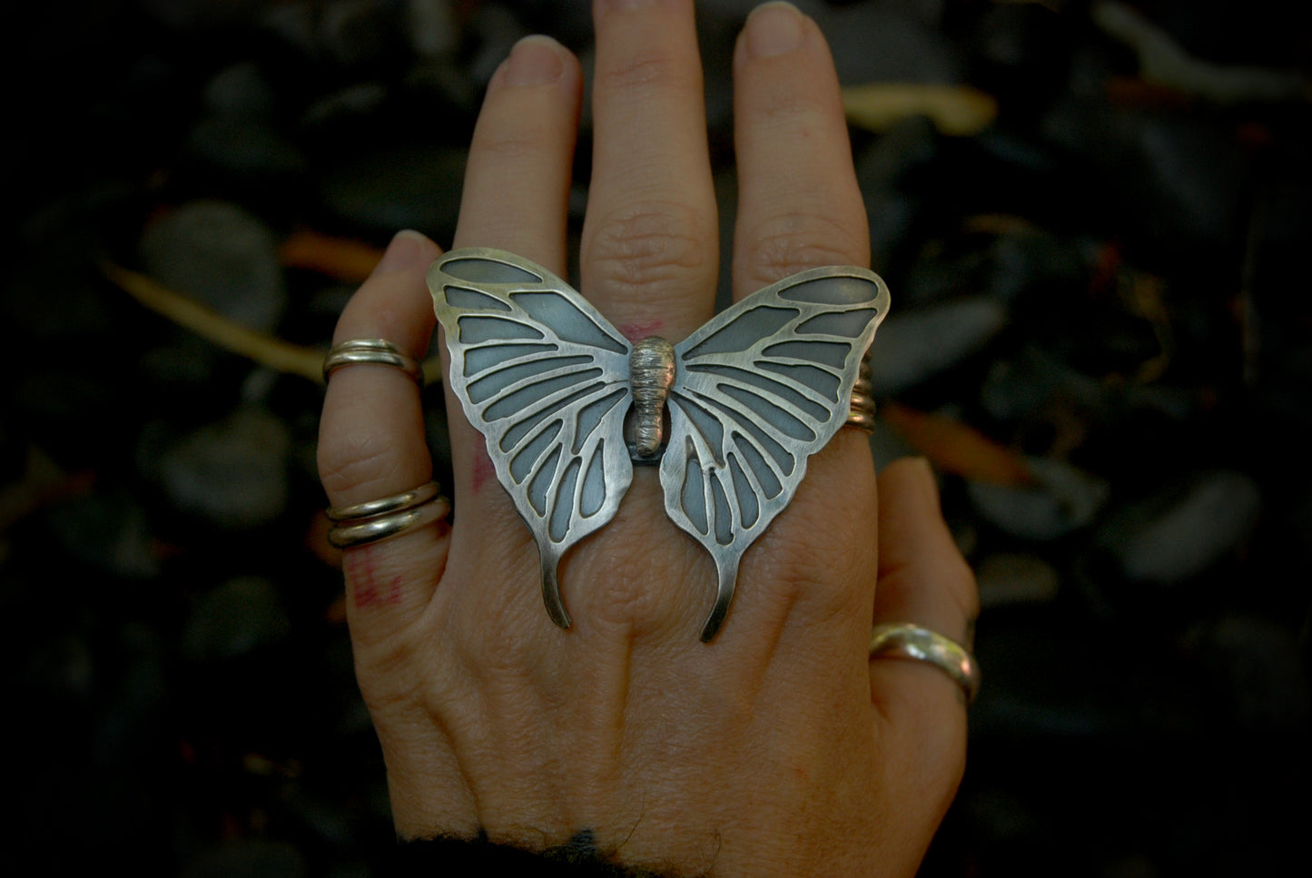 MTO Butterfly