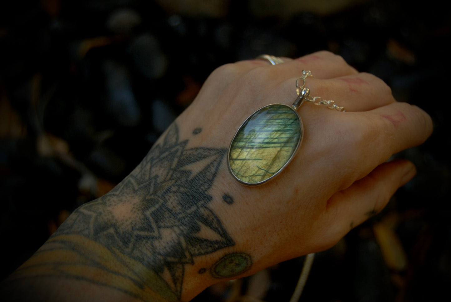 Simple Lab Necklace 2