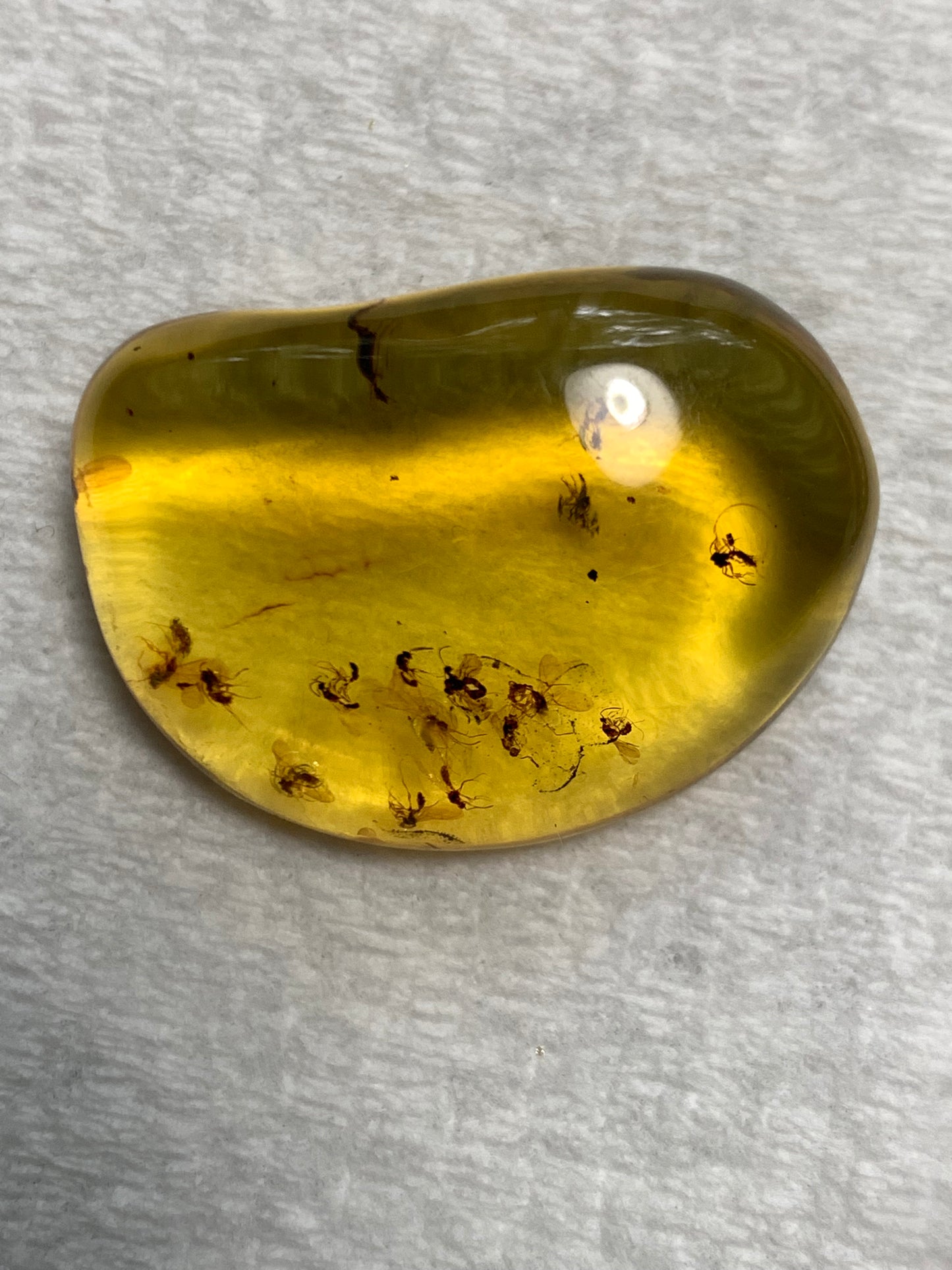 Buggy Amber Ring