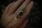 Lucian Ring discounted