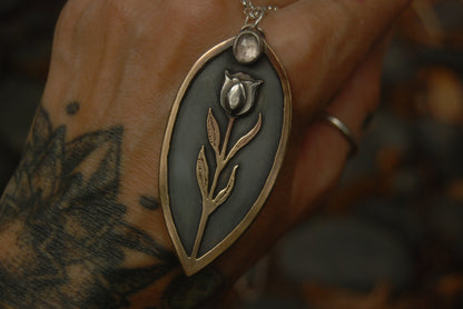 Tulip