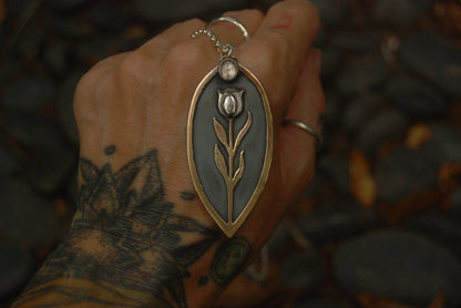 Tulip