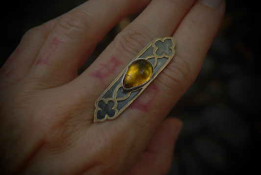 Ludo Ring