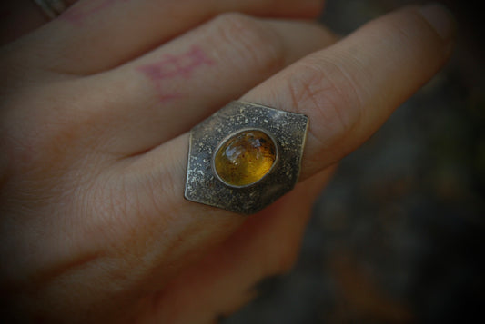 Amber shield sz-7