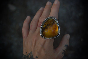 Huge Amber Ring sz-7.75