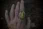 Sunup Ring SZ- 7.5