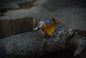 Double leaf amber ring