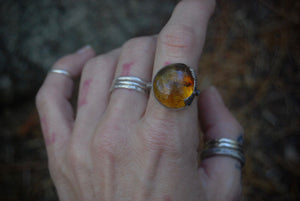 Double leaf amber ring