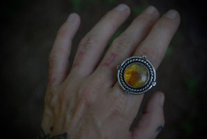 Round Amber Ring sz-6.75