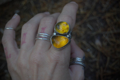 Double amber ring