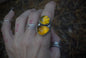 Double amber ring