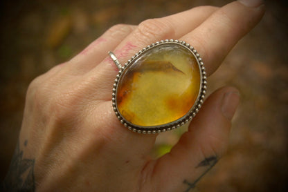 Amber Ring sz- 10