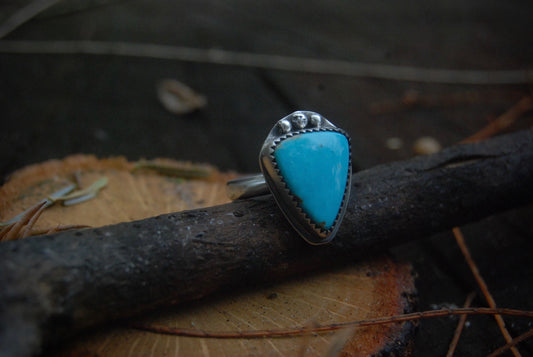 Turquoise point