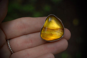 Medium Amber ring