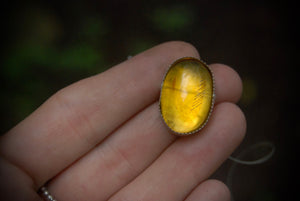 Small Amber Ring