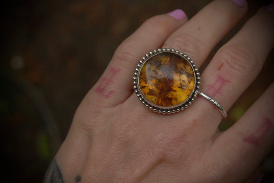 Round Amber Ring sz- 6