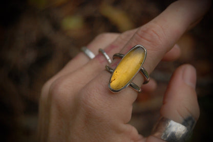 Simple Amber Ring 1 sz-8.75