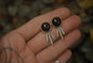Sun Studs