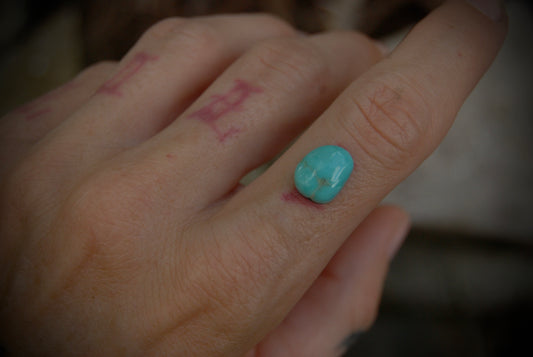 Campitos Stack Ring 5