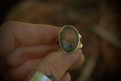 Simple Lab Ring sz-5.25